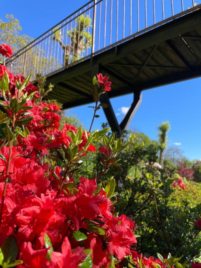 Terrazza Sul Lago Ameno Kültér fotó
